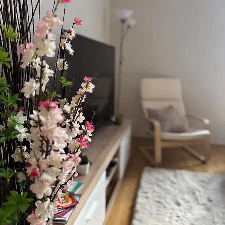 Synagogue Gozsdu Corner Apartman *